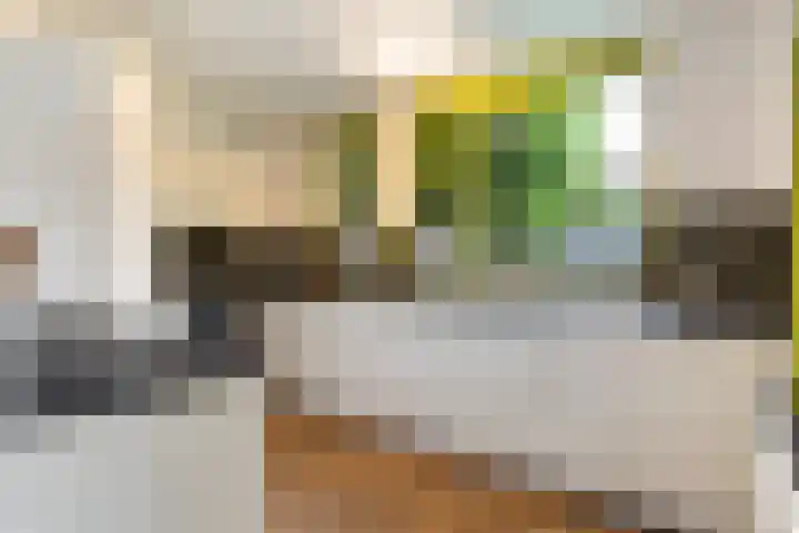 Boswachtersveld 337 Apeldoorn thumbnail 9