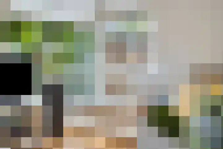 Boswachtersveld 517 Apeldoorn thumbnail 10