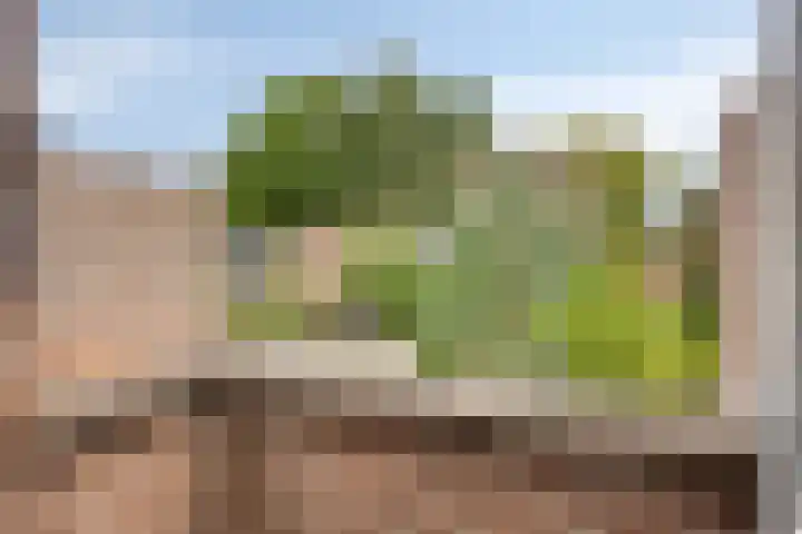 Boswachtersveld 517 Apeldoorn thumbnail 32