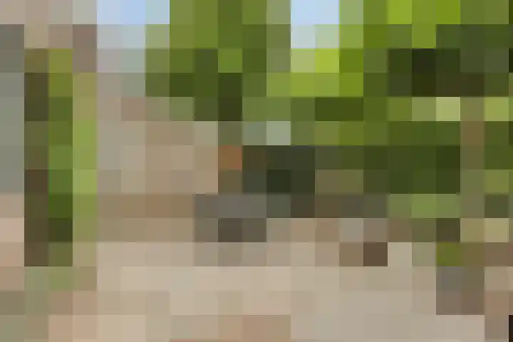 Boswachtersveld 517 Apeldoorn thumbnail 36