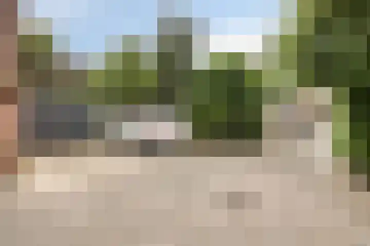 Boswachtersveld 517 Apeldoorn thumbnail 43