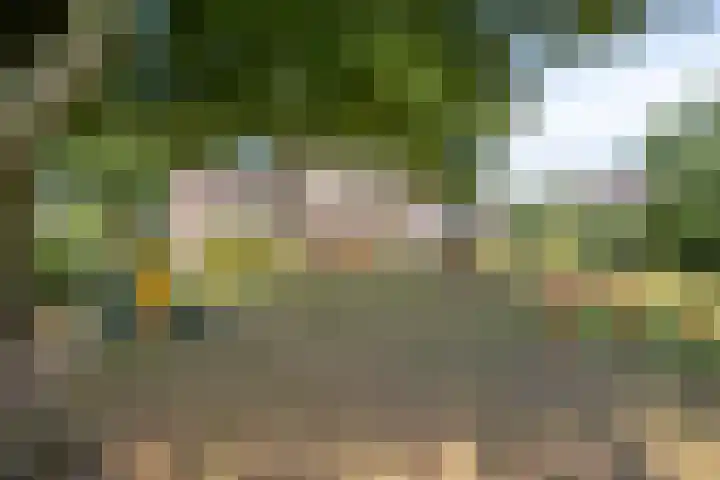 Boswachtersveld 517 Apeldoorn thumbnail 44