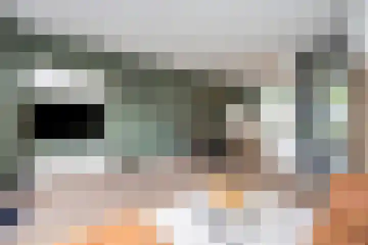 Boswalstraat 79 Zwolle thumbnail 8