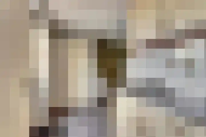 Bosweer 3 D Appelscha thumbnail 18