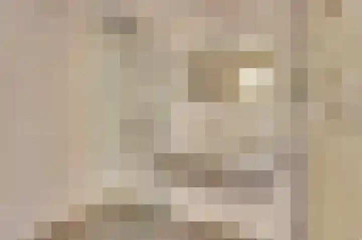 Bosweer 3 D Appelscha thumbnail 22