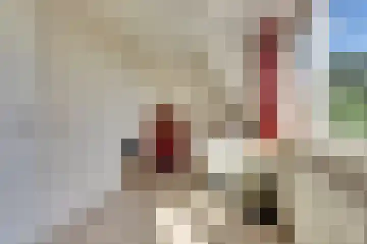 Bosweer 3 D Appelscha thumbnail 30