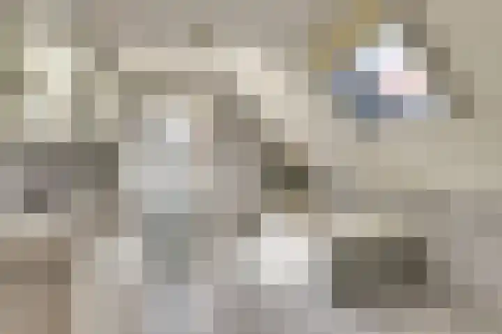 Bosweer 3 D Appelscha thumbnail 32