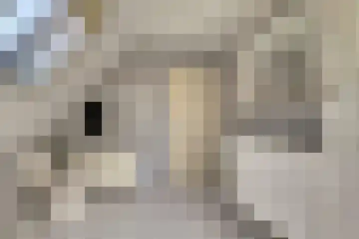 Bosweer 3 D Appelscha thumbnail 33