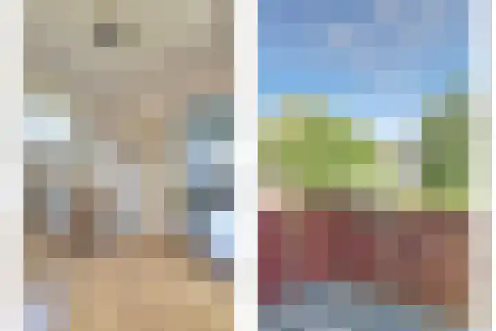 Bosweer 3 D Appelscha thumbnail 34