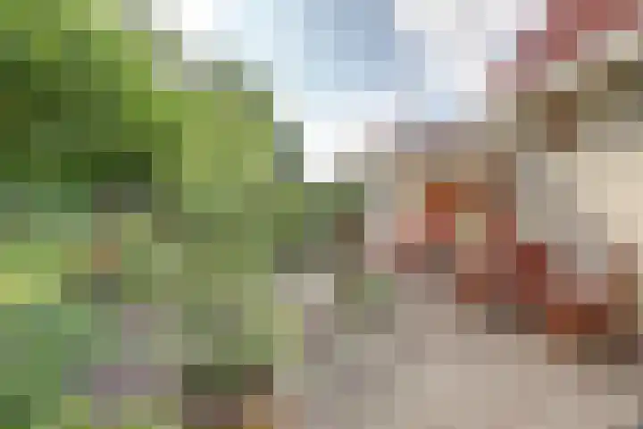 Bosweer 3 D Appelscha thumbnail 35