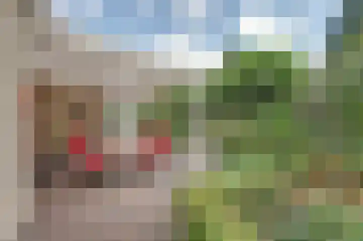 Bosweer 3 D Appelscha thumbnail 36