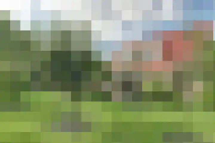 Bosweer 3 D Appelscha thumbnail 37