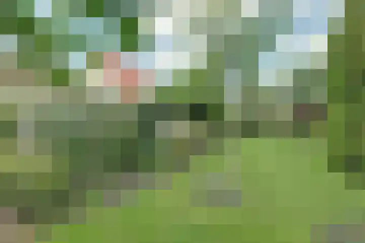 Bosweer 3 D Appelscha thumbnail 38
