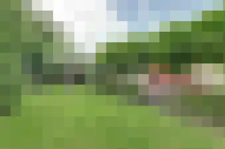 Bosweer 3 D Appelscha thumbnail 39