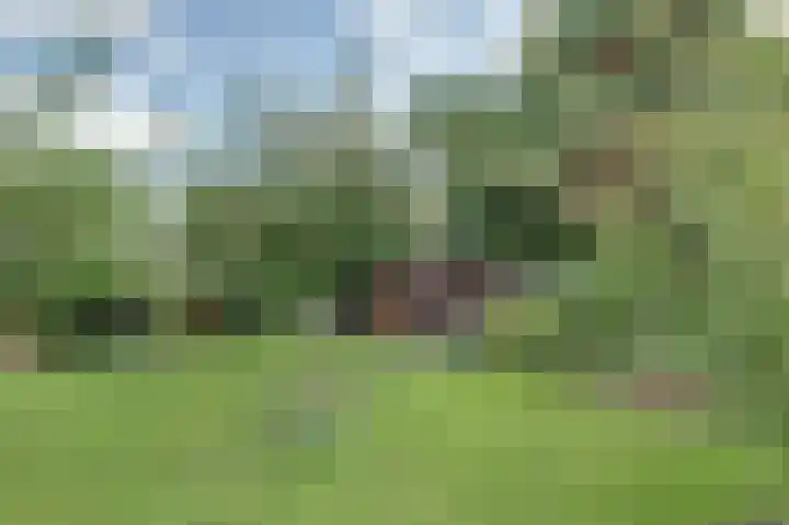 Bosweer 3 D Appelscha thumbnail 40