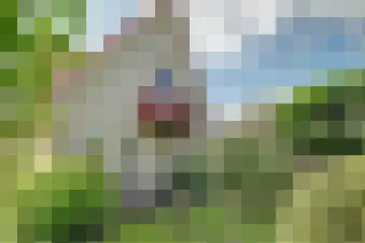 Bosweer 3 D Appelscha thumbnail 41