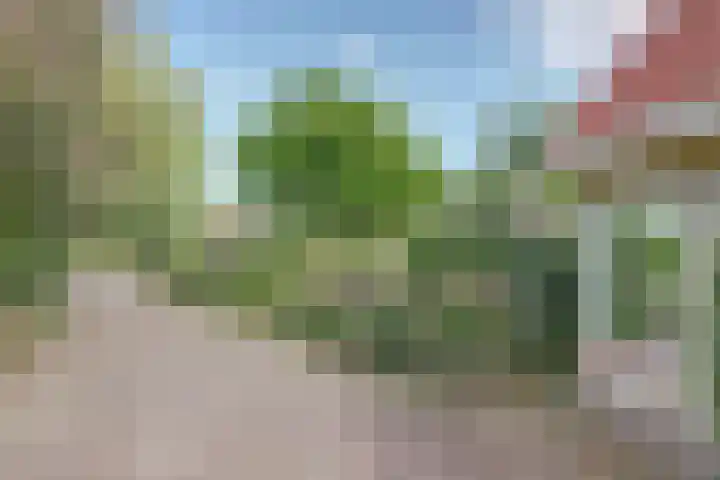 Bosweer 3 D Appelscha thumbnail 43