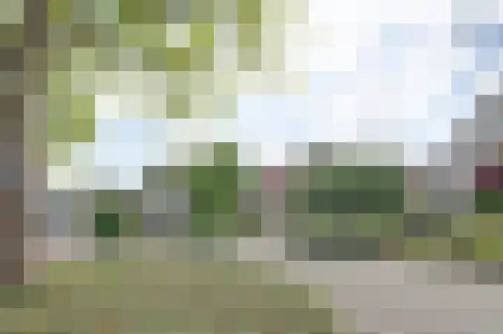 Bosweer 3 D Appelscha thumbnail 44