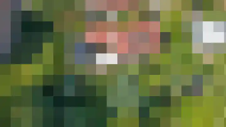 Bosweer 3 D Appelscha thumbnail 45
