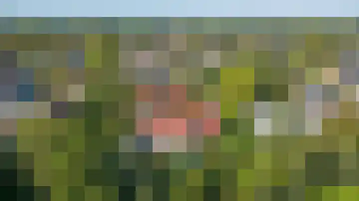 Bosweer 3 D Appelscha thumbnail 46