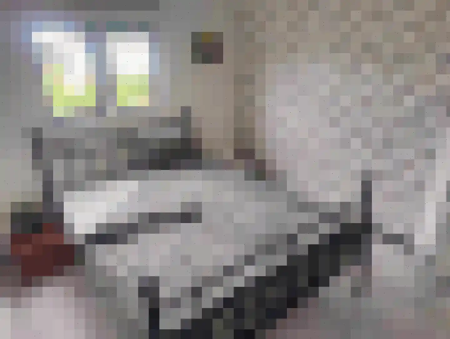 Bosweg 1 265 Anloo thumbnail 16