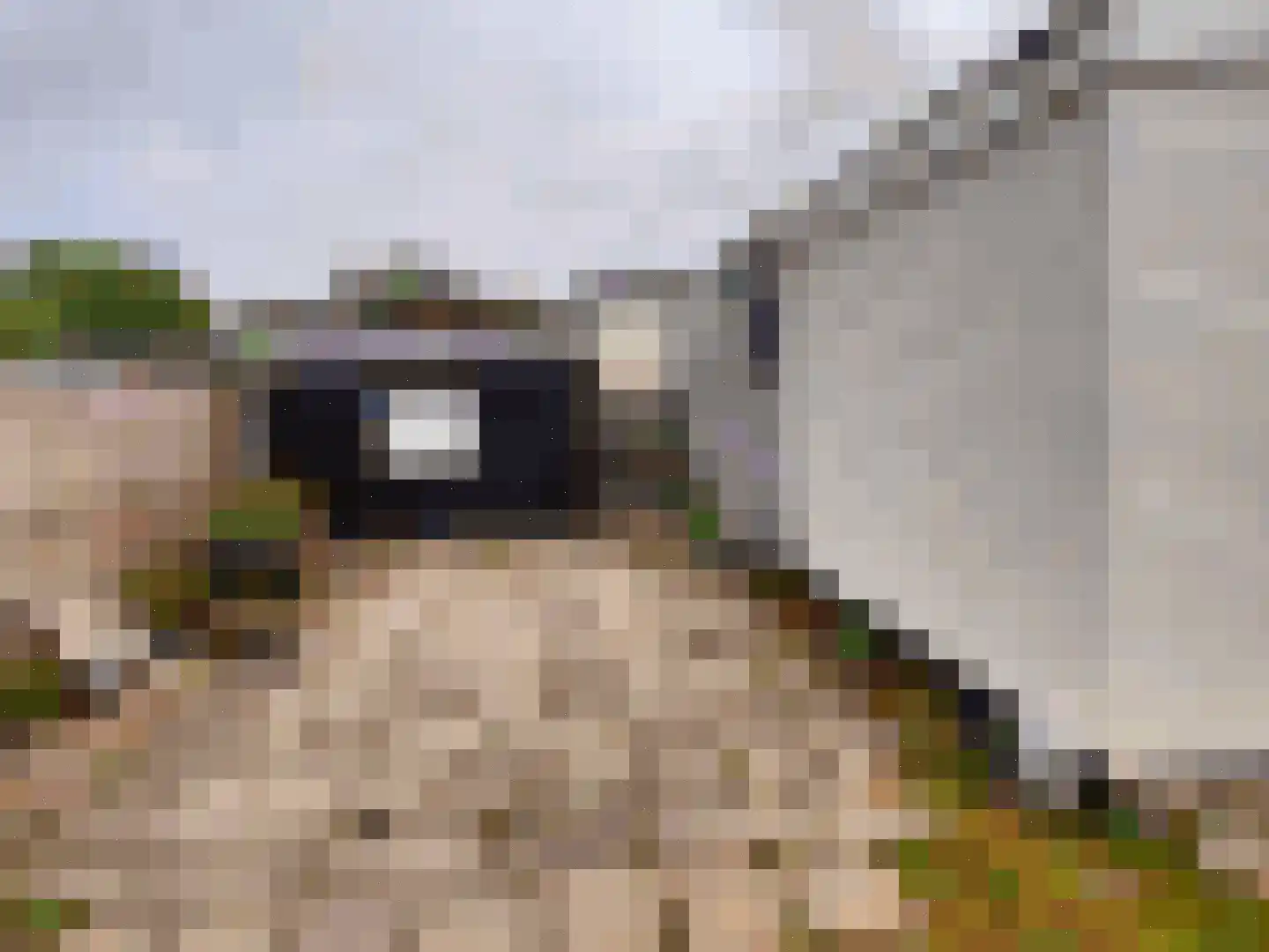 Bosweg 1 265 Anloo thumbnail 4