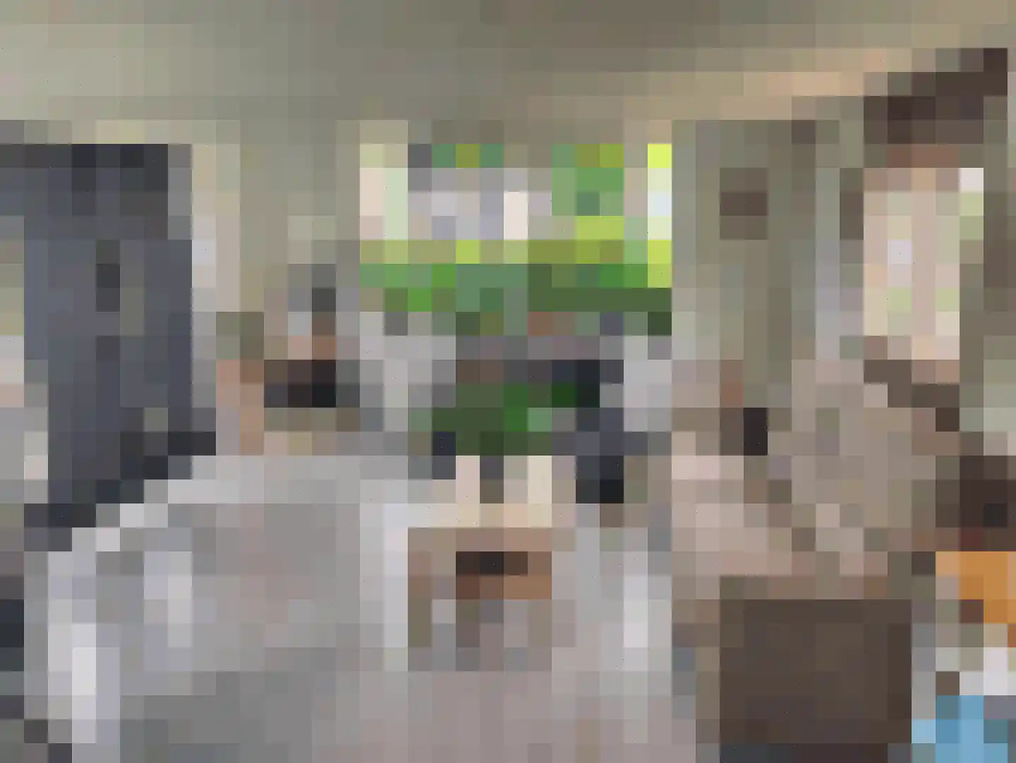 Bosweg 1 265 Anloo thumbnail 6