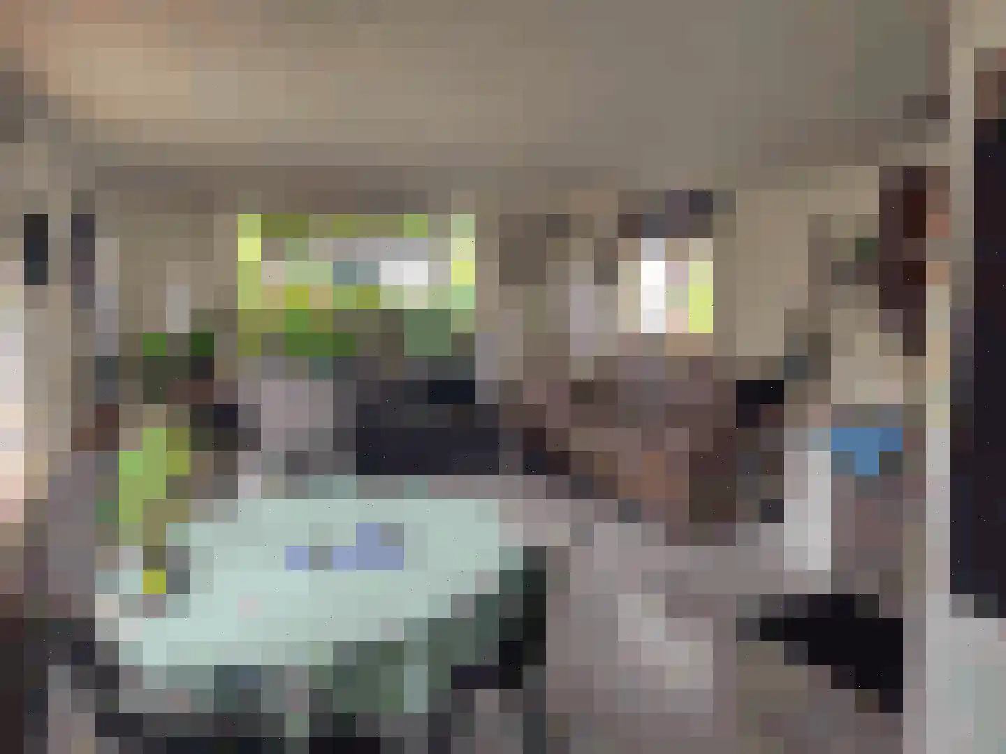 Bosweg 1 265 Anloo thumbnail 7