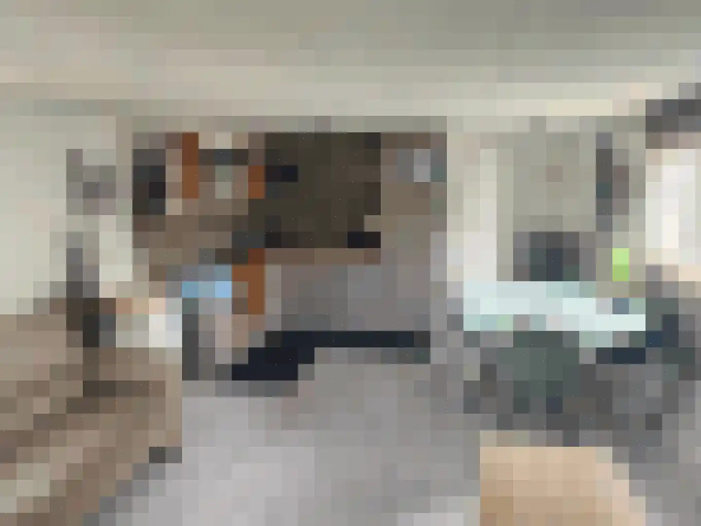 Bosweg 1 265 Anloo thumbnail 8