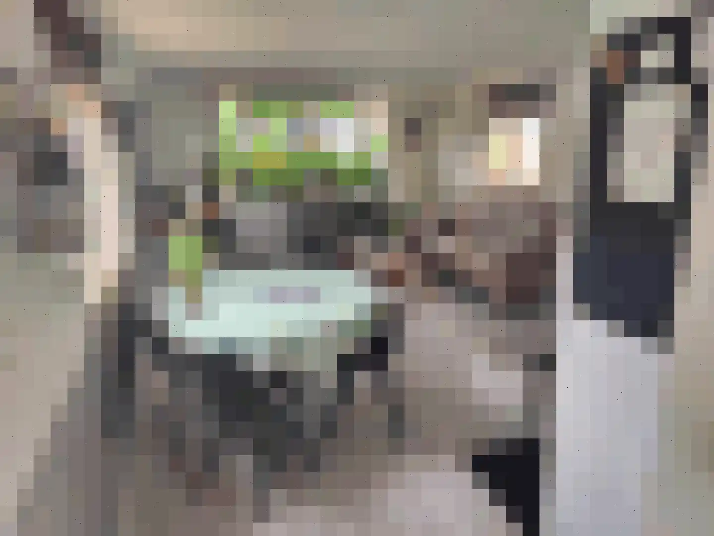 Bosweg 1 265 Anloo thumbnail 9