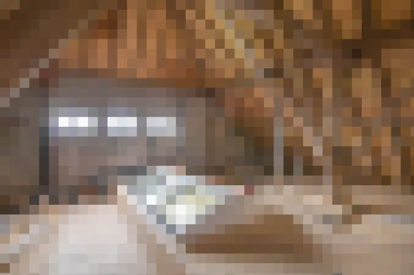 Bosweg 1 Eeserveen thumbnail 22