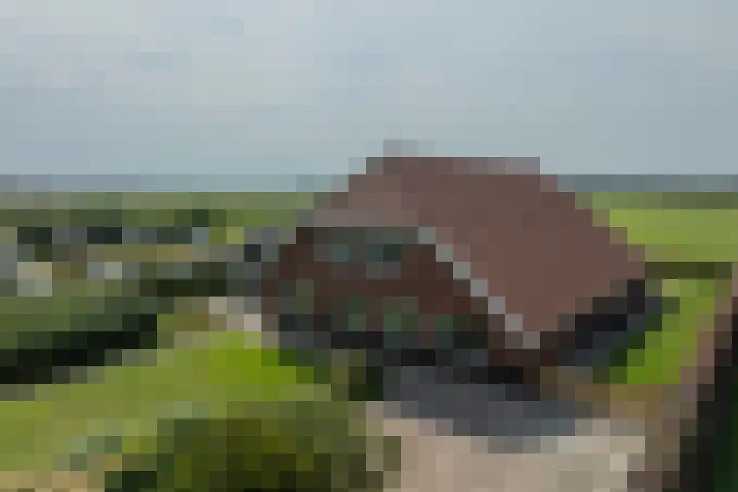 Bosweg 1 Eeserveen thumbnail 4