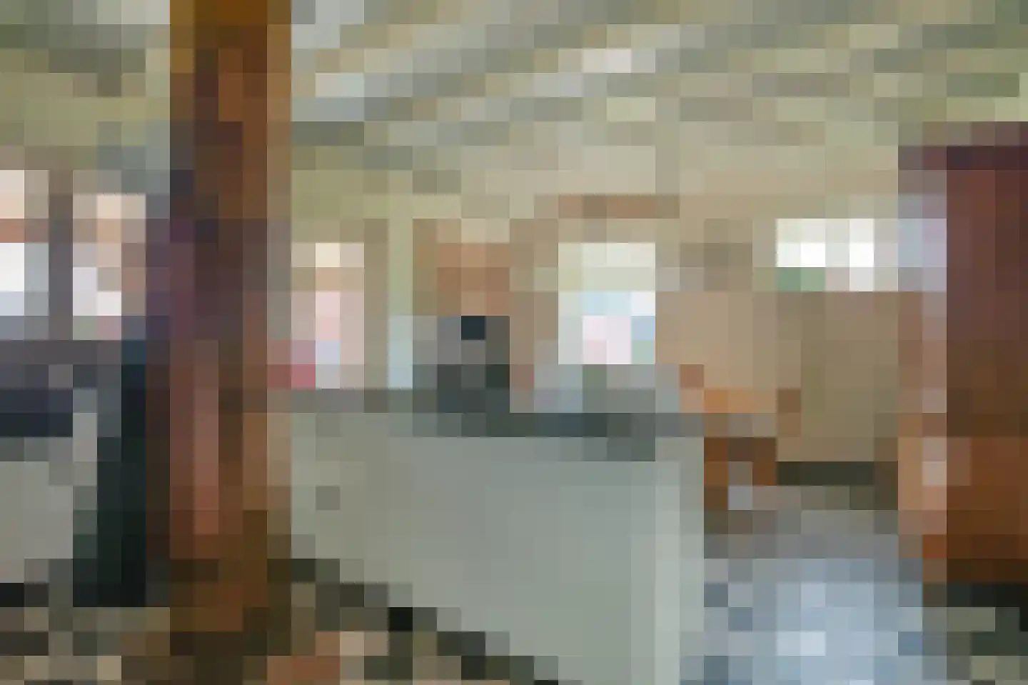 Bosweg 1 Eeserveen thumbnail 40