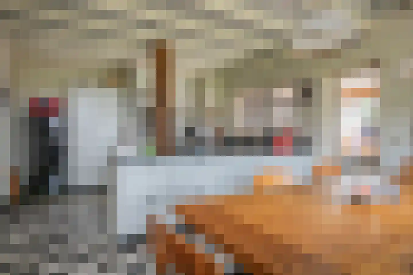 Bosweg 1 Eeserveen thumbnail 43