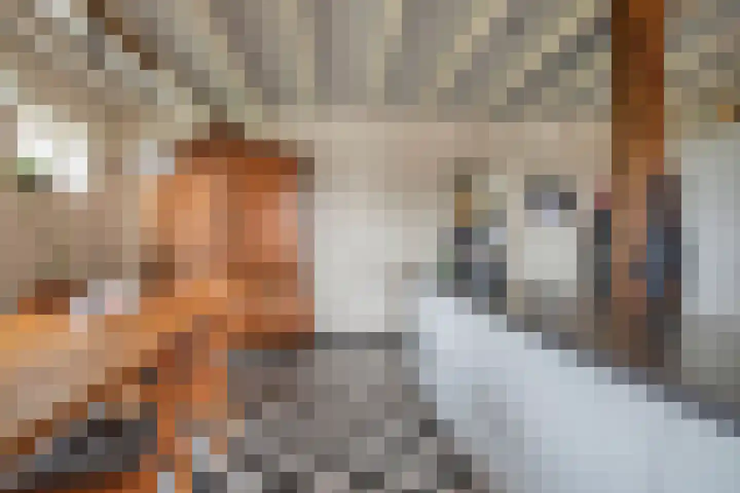 Bosweg 1 Eeserveen thumbnail 44