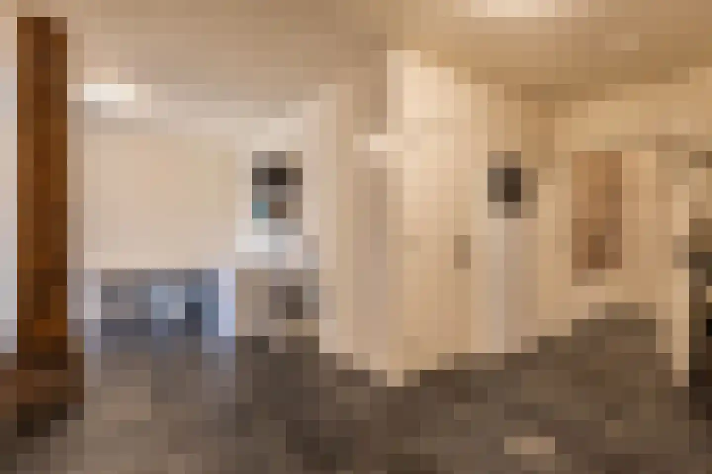 Bosweg 1 Eeserveen thumbnail 45