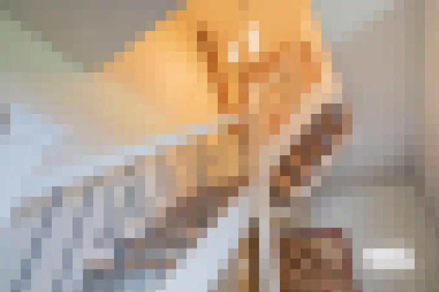 Bosweg 1 Eeserveen thumbnail 48