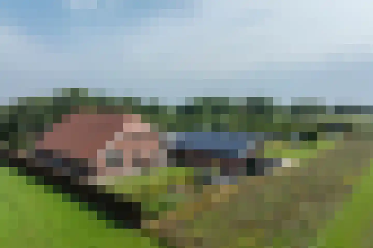 Bosweg 1 Eeserveen thumbnail 6