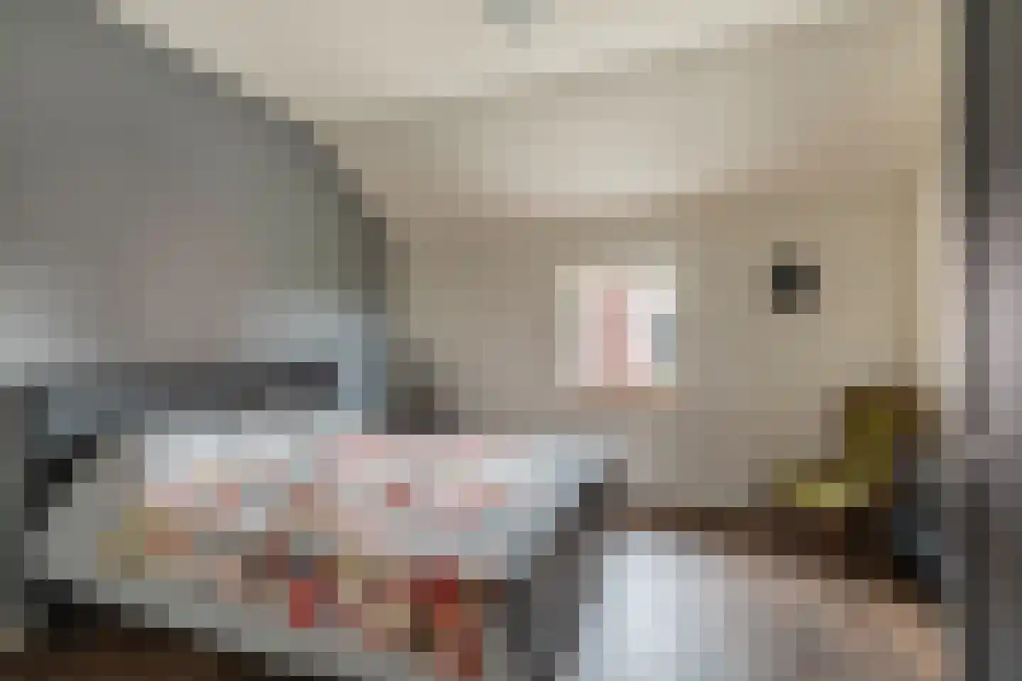 Bosweg 1 Eeserveen thumbnail 64
