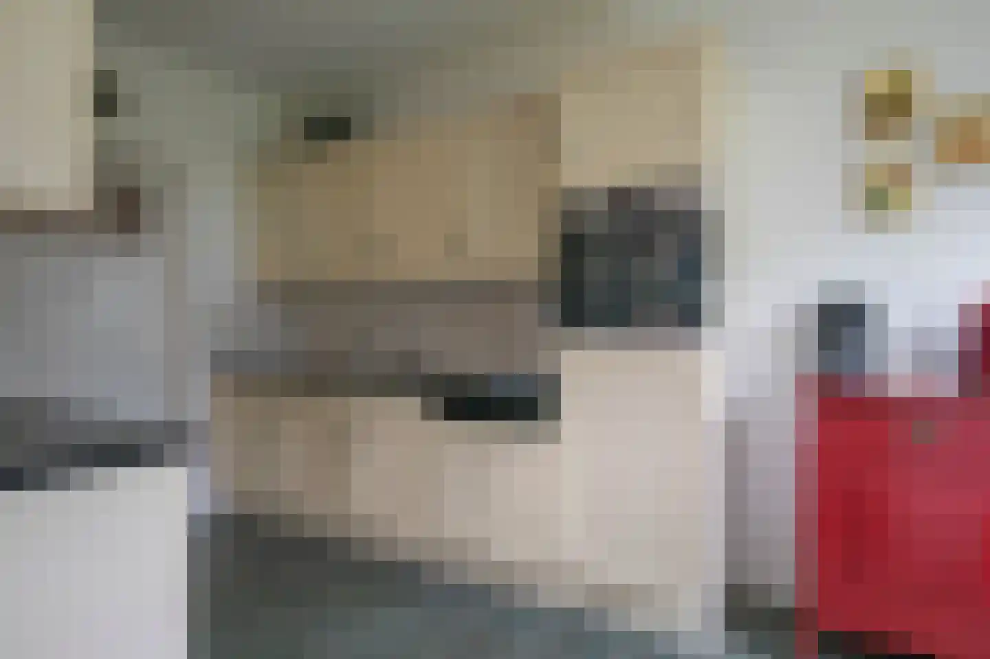 Bosweg 1 Eeserveen thumbnail 80