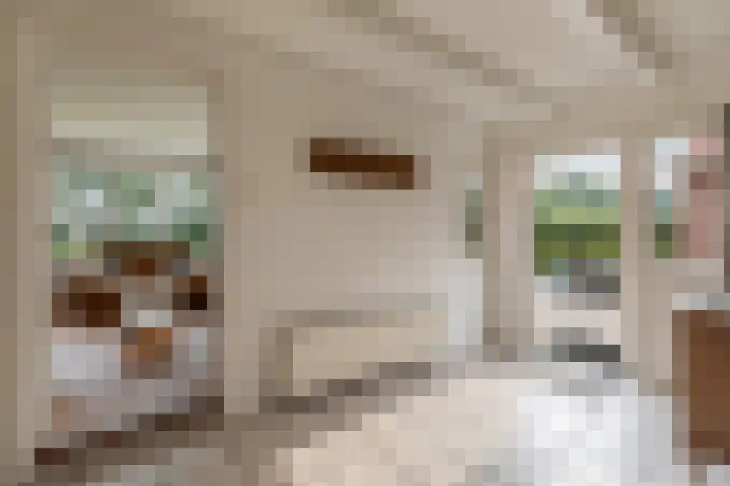 Bosweg 1 Eeserveen thumbnail 84