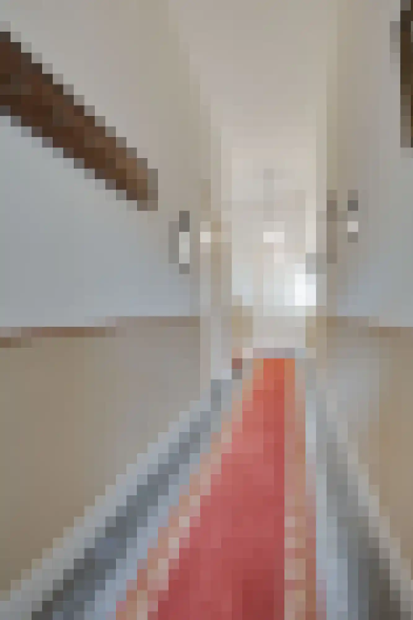 Bosweg 1 Velp thumbnail 10