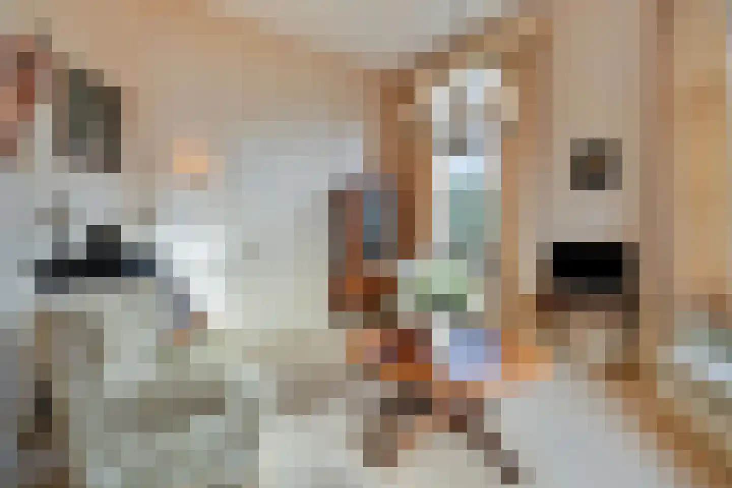 Bosweg 1 Velp thumbnail 14