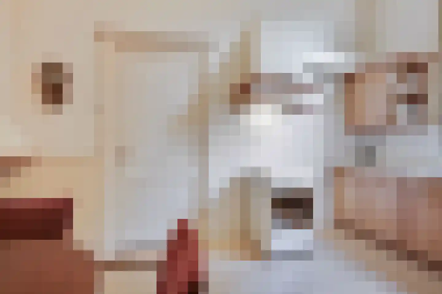 Bosweg 1 Velp thumbnail 22