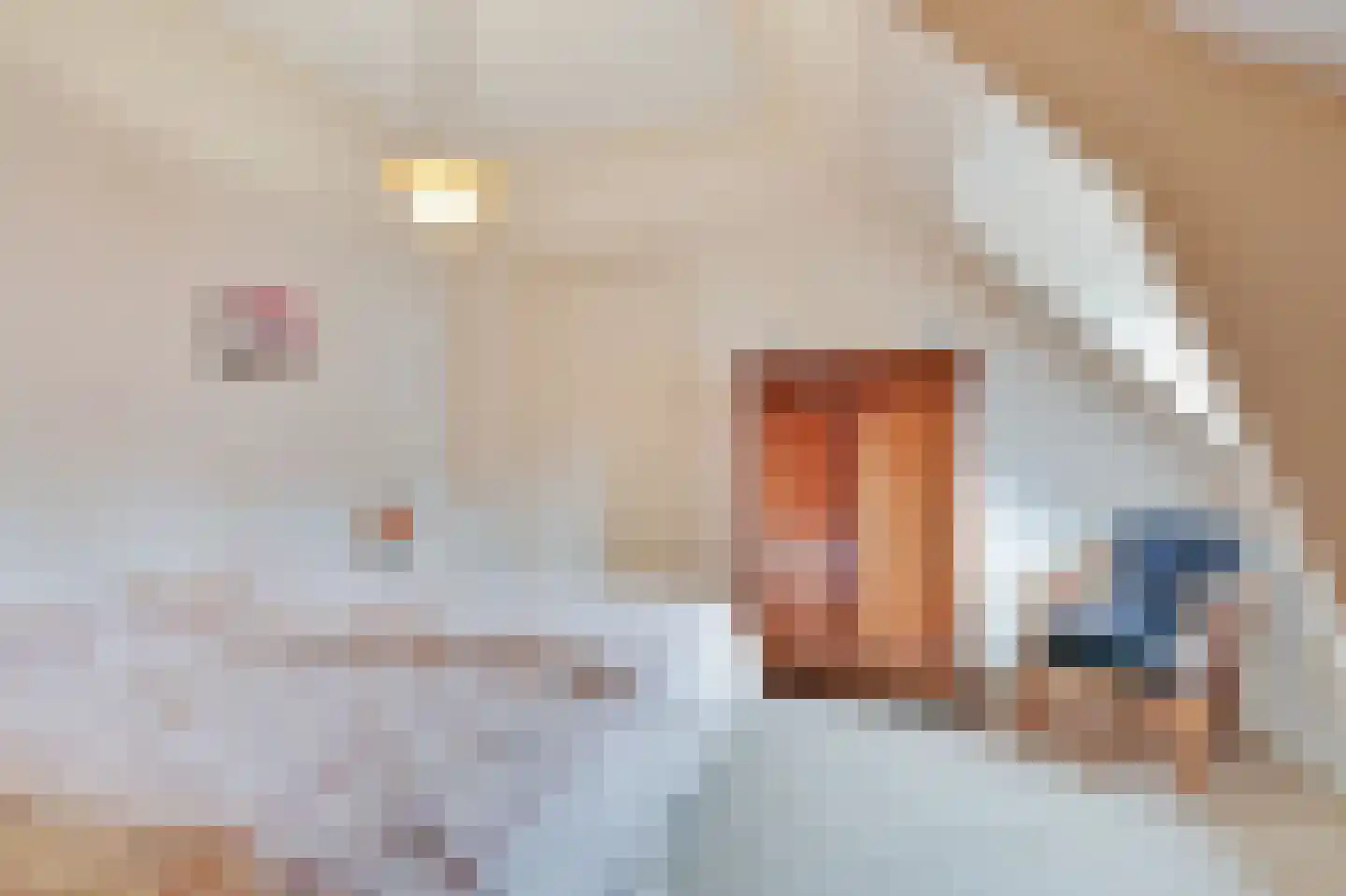 Bosweg 1 Velp thumbnail 38