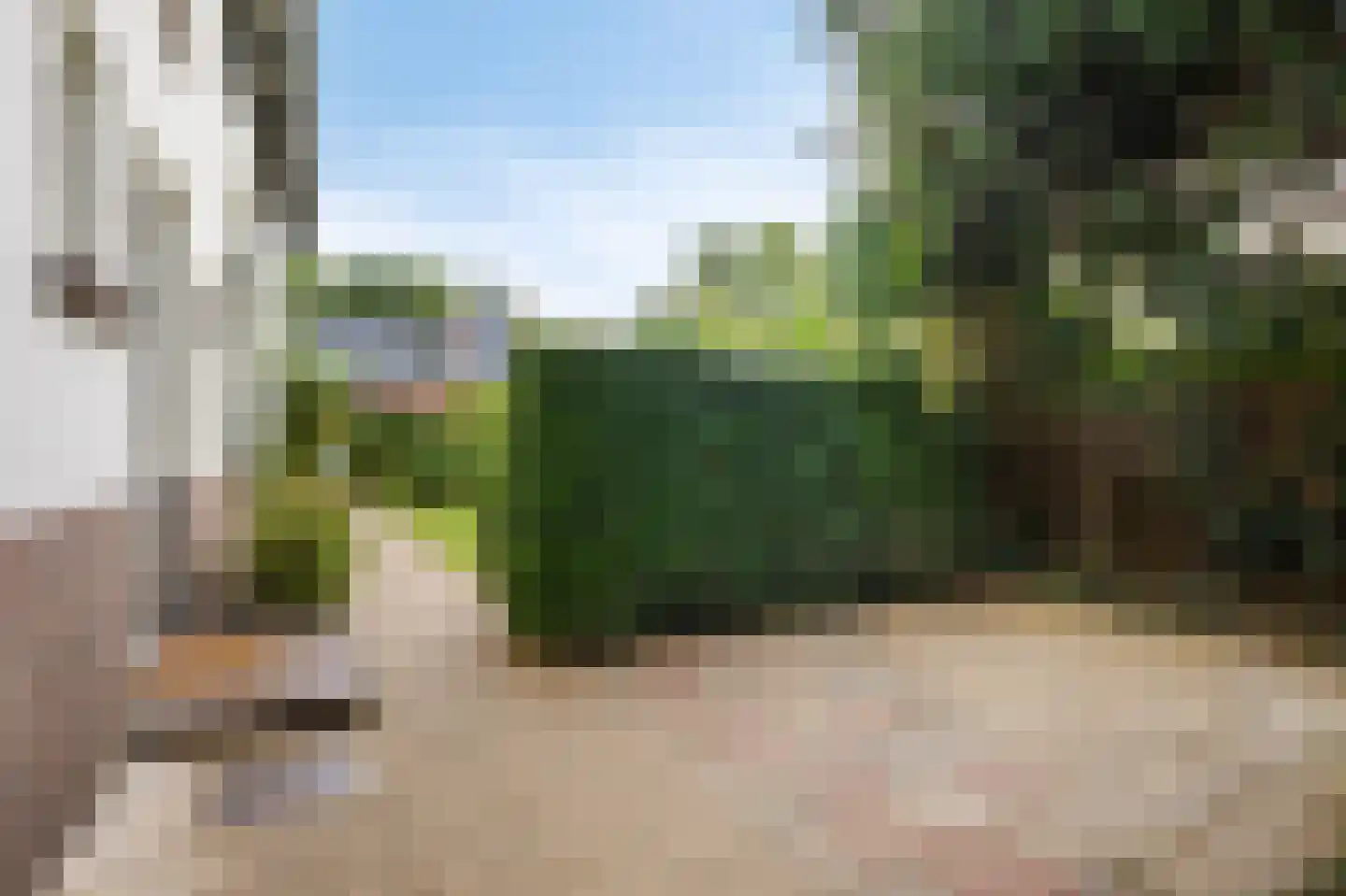 Bosweg 1 Velp thumbnail 50