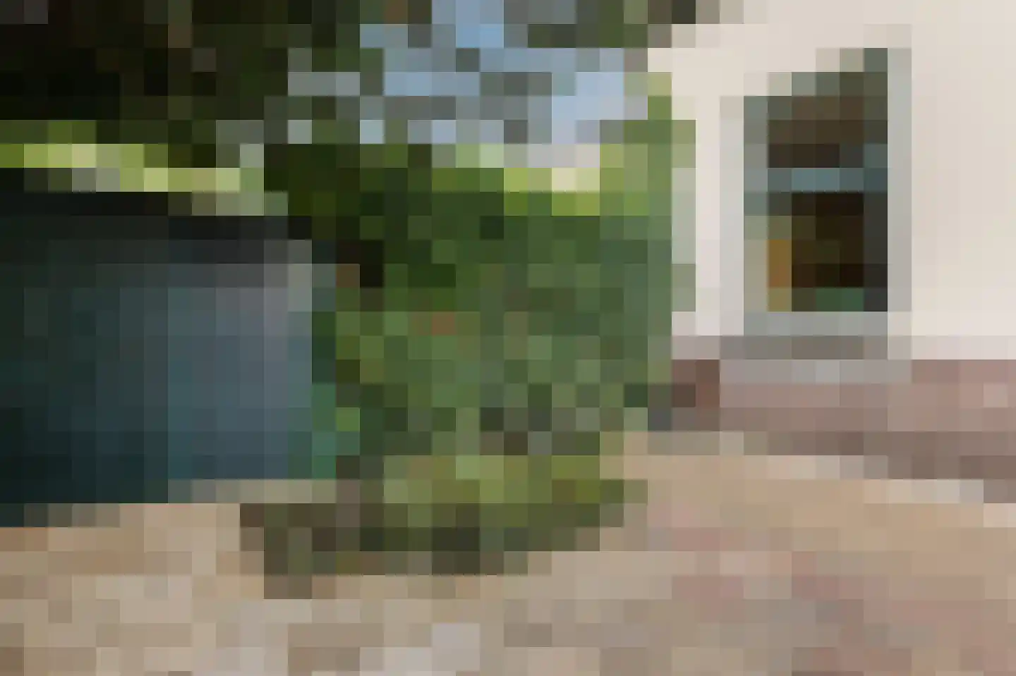 Bosweg 1 Velp thumbnail 51