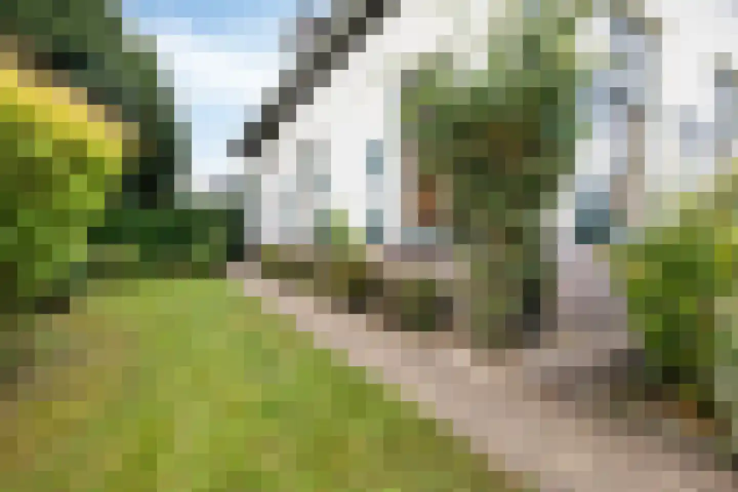 Bosweg 1 Velp thumbnail 55