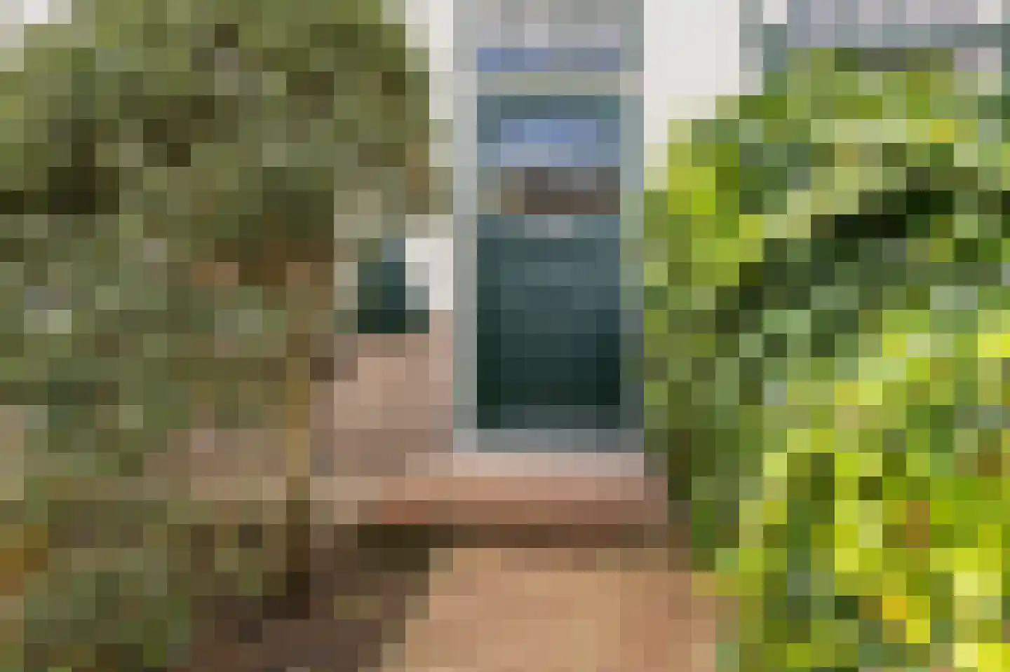 Bosweg 1 Velp thumbnail 9