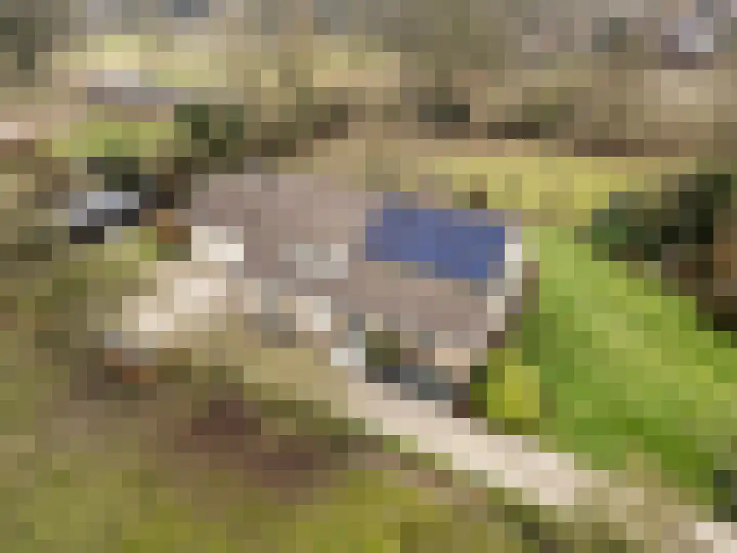 Bosweg 1 Wageningen thumbnail 10
